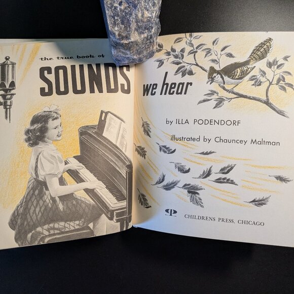 I Want to Know About Animal Babies, Sounds & Moon, Sun & Stars by Illa Podendorf - Picture 7 of 16